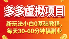 多多虚拟项目：0基础小白新玩法，每天30 – 60分钟轻松上手