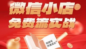 微信小店免费流量实战课：有货无货双模式，小白也能月入过万！
