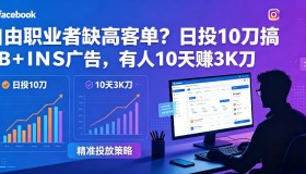 自由职业者愁高客单？每日投10刀做FB+INS广告，有人10天狂赚3K刀！【原创双语字幕】