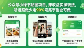 公众号小绿书贴图项目：实操赚钱玩法，助你少走90%弯路的副业选择