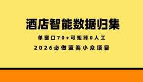 揭秘！酒店智能数据归集小众蓝海稳定半年，单窗口零成本矩阵日赚70+