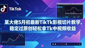 5月初某大佬揭秘：TikTok影视切片教学，稳过原创轻松赚Tk中视频收益