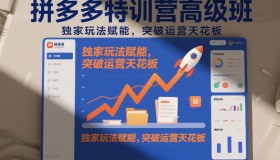 拼多多特训营高阶班，独家玩法赋能，突破运营天花板（更新26年5月15日）