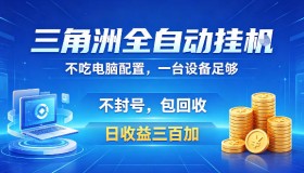 三角洲全自动挂机项目大揭秘：低配电脑可运行，防封稳账号，日赚300+且收益包回收