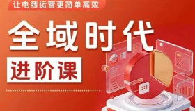 全域时代进阶课程：轻松掌握全域投放实操，让电商运营更高效
