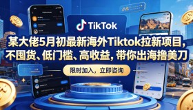 5月初某大佬推出海外Tiktok拉新爆款项目，零囤货、低门槛、高回报，带你海外赚美金