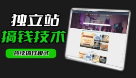 超干货！麦子甜带你全方位掌握独立站，搭建引流一站式教学《独立站》第一期