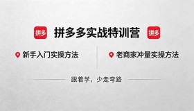 （18309期）拼多多实战特训营(更新5月3)：不管是新手入门或老商家冲量，都有实操方法，跟着学，少走弯路