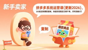 （18317期）拼多多系统运营课(更新4月)，从0起店到爆款复制，快速实现稳定日销千单，月利润破5万