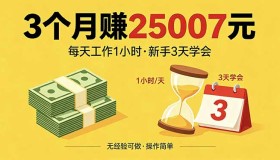 （18325期）新手3天全掌握！每天工作1小时，3个月狂赚25007元！