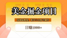 （18329期）全网首曝！美金掘金躺赚项目，日入1000+不是梦