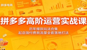 拼多多高阶运营实战秘籍：历年爆款玩法大集合，起店与强付费救流量全流程落地攻略