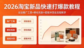 （18422期） 2026淘宝新品爆款速成教程：全站推广、孵化机制与提报冲顶全流程揭秘