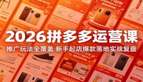 2026拼多多运营课程：全推广玩法揭秘，新手起店爆款实战复盘