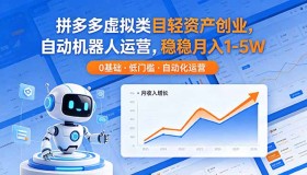 （18466期）拼多多虚拟类目轻资产创业，借自动机器人运营，月入1 – 5W稳稳当当