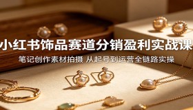 小红书饰品分销盈利实战课程：从起号到运营，全方位掌握笔记创作与素材拍摄