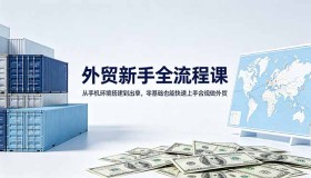 （18481期）外贸新手必学全流程课程：零基础起步，快速合规开启外贸出单之路