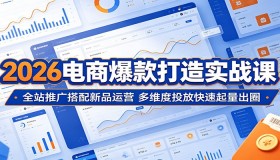 2026电商爆款实战课：全站推广与新品运营结合，多维度投放速起量出圈