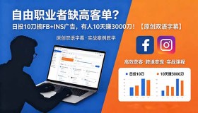 （18489期）自由职业者愁高客单？每日投10美元做FB+INS广告，有人10天狂赚3000美元！【原创双语字幕】