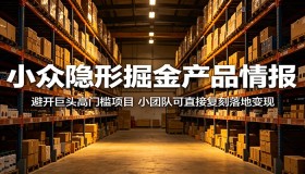小众隐秘掘金产品情报：绕开巨头高门槛项目，小团队可直接复制落地盈利