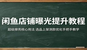 闲鱼店铺曝光提升秘籍：超级擦亮核心用法及选品上架测款优化全流程教学