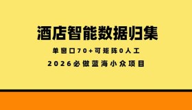 （18500期）酒店智能数据归集：小众蓝海稳定半年，单窗口70+零成本矩阵启动