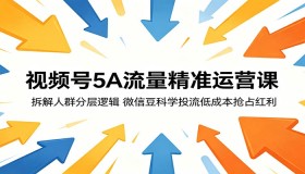 视频号5A流量精准运营课程：剖析人群分层逻辑，用微信豆科学投流低成本赢取红利