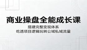 商业操盘成长课：构建变现体系，洞悉项目逻辑掌控公域私域流量
