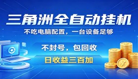 三角洲全自动挂机项目：防封保账号，日入300+，收益全回收，省心稳赚钱
