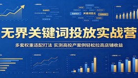 无界关键词投放实战营：多套权重适配策略，实测高投产案例助你提升店铺收益