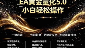 （18513期）全新AI量化交易5.0来袭，小白也能轻松上手，稳定盈利日入1000+