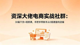 18529期电商实战社群：30篇干货+视频课，助新手0基础搭建盈利店铺