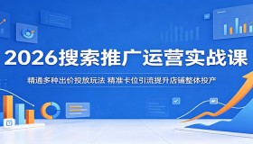 2026搜索推广实战课程：掌握多元出价投放玩法，精准引流提升店铺整体投产