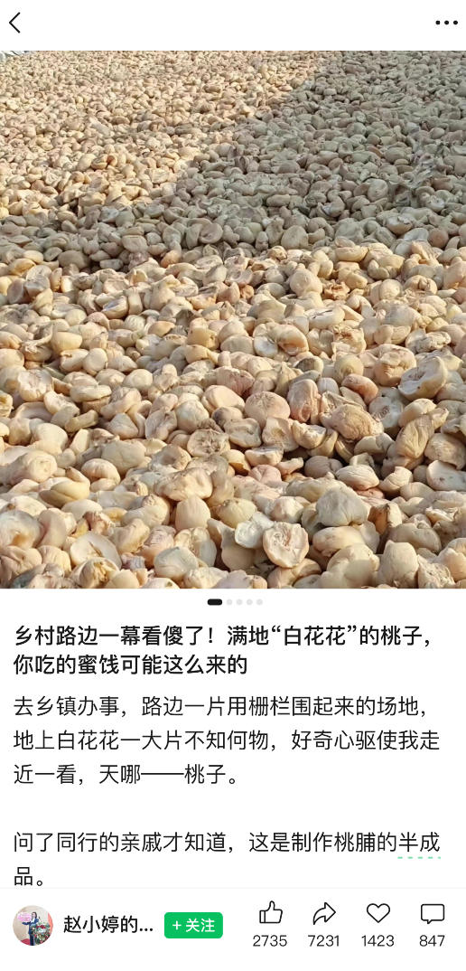 公众号小绿书贴图项目:实操赚钱玩法,助你少走 90% 弯路的副业选择 公众号小绿书贴图项目:实操赚钱玩法,助你少走 90% 弯路的副业选择
